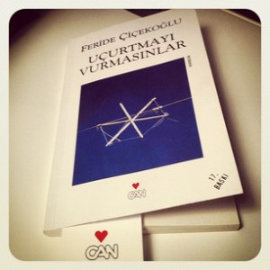 cfa5ca26010011e28a5b22000a1c864e_6