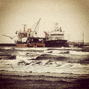 188218_10151443777702398_1882116709_n