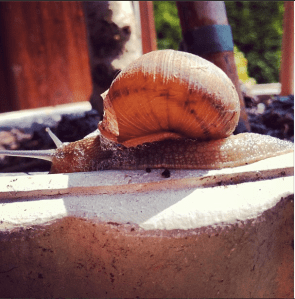 Screen shot 2013-11-25 at 22.30.57