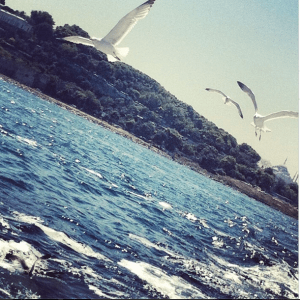 Screen Shot 2014-11-20 at 12.21.59 PM