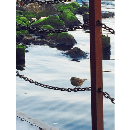 Screen Shot 2015-05-13 at 3.03.13 PM