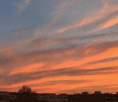 Screen Shot 2015-12-15 at 5.44.36 AM