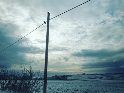 Screen Shot 2016-01-06 at 11.53.54 AM