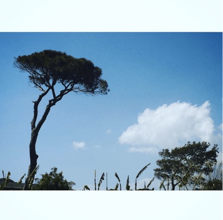 Screen Shot 2016-05-06 at 12.14.56 AM