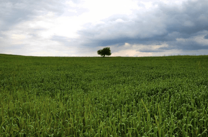 Screen Shot 2016-08-12 at 1.56.51 AM