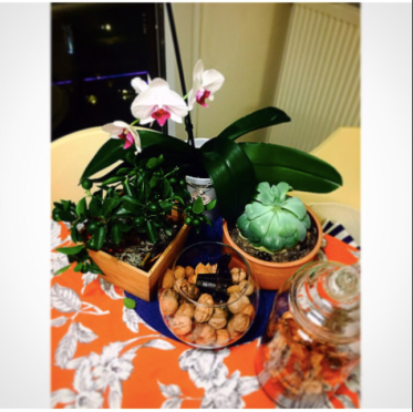 ekran-resmi-2017-01-27-23-45-47